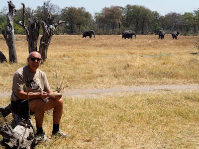 Maurice Tallantyre: relaxing with elephants in the background