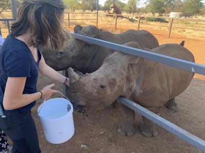Sophia Greisen: feeding the rhinos
