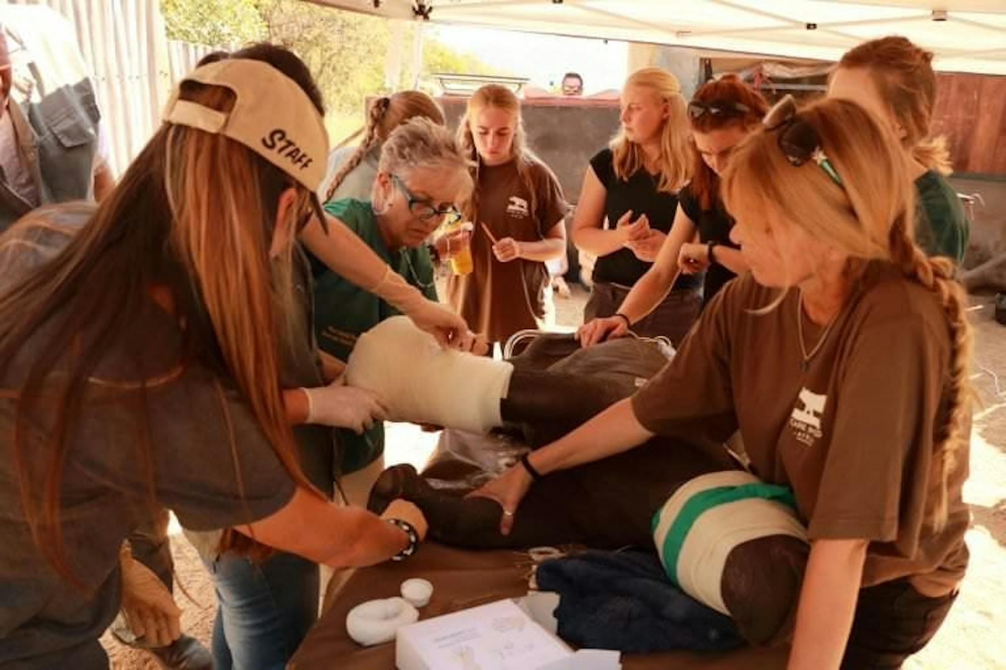 The Care for Wild team and Veterinarian Dr Albertus Coetzee hard at work treating Arthur, just days after his arrival