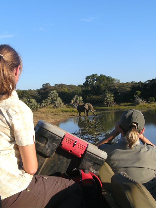 ACE volunteers monitor elephant at a watering hole from a distance in a jeep