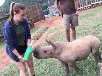 Leigh Haywood with a young rhino