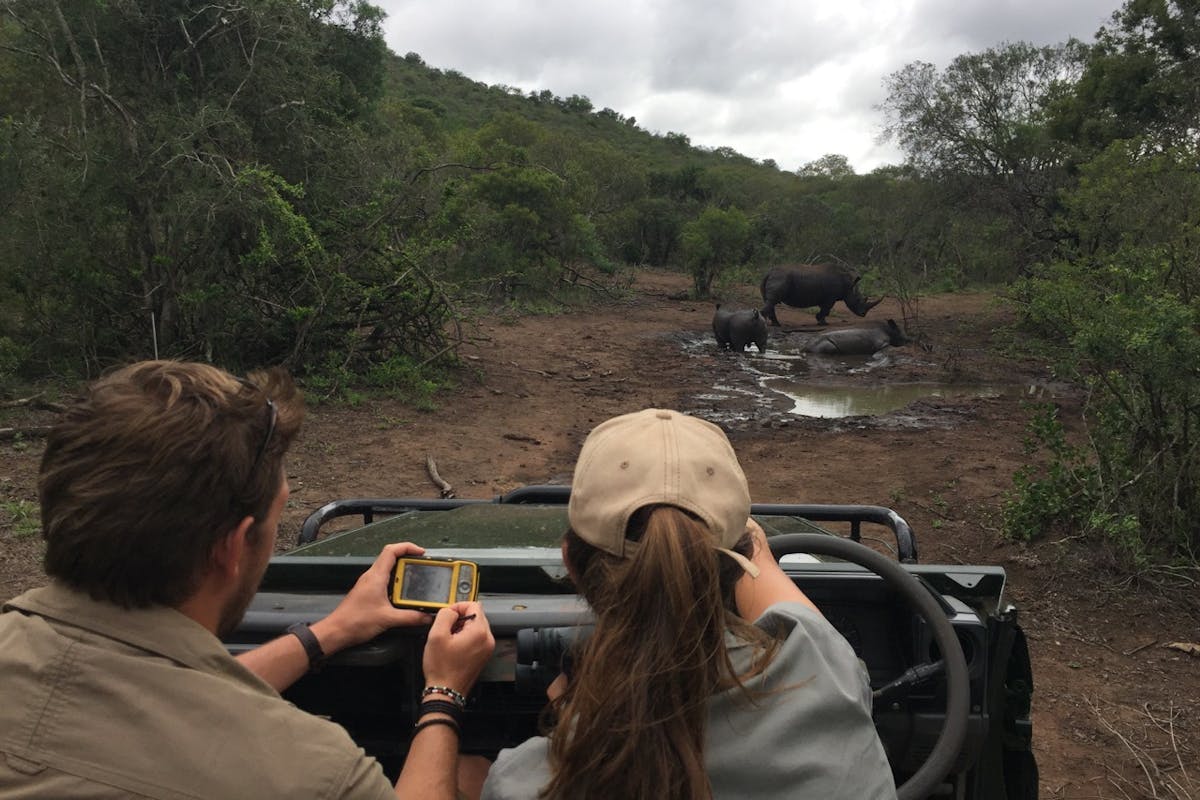 Rhino monitoring from a jeep