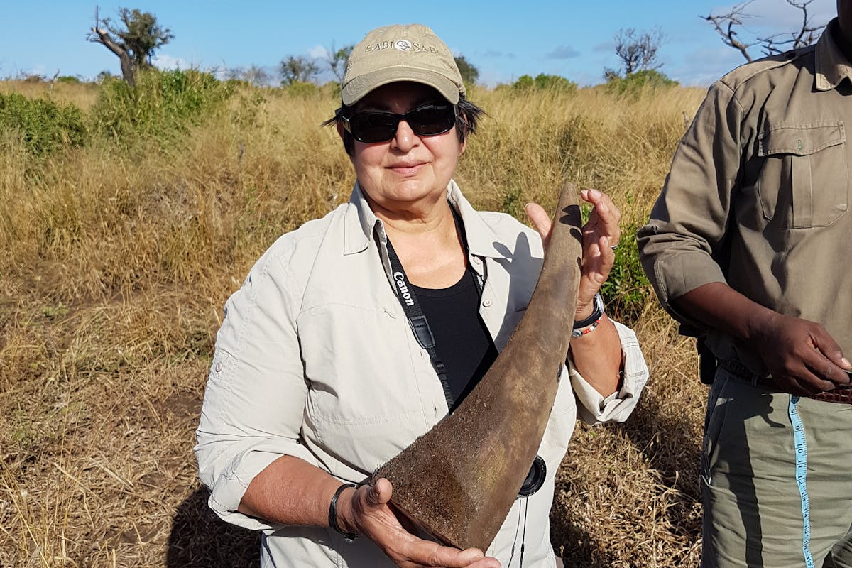 Jennifer Goodley with a rhino horn after dehorning