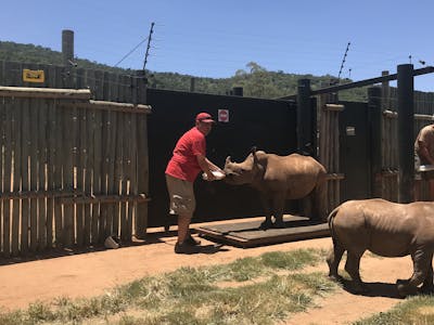 Mario Gabusi: bottle feeding a baby rhino