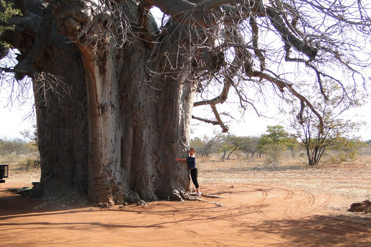 Student relaxing and hugging a huge tree