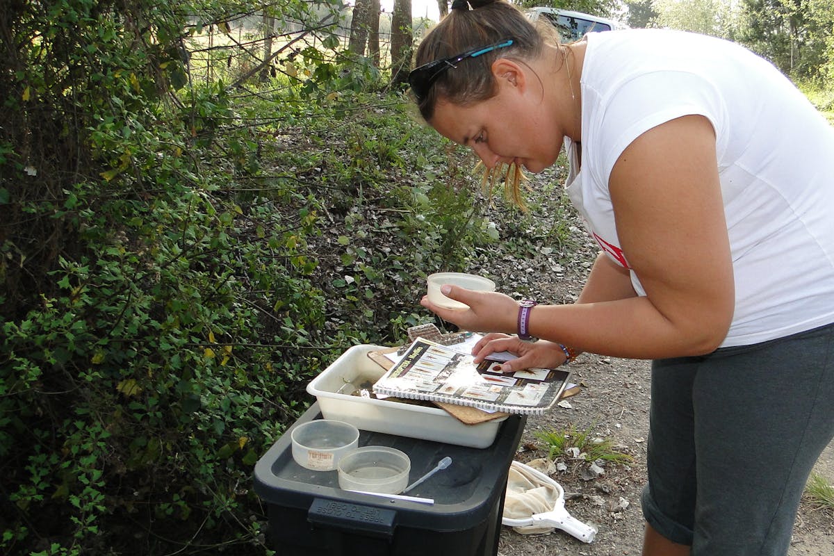 Woman studying insects, part of Marine Conservation