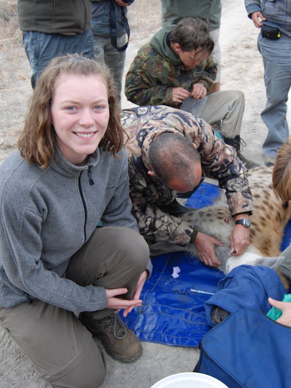 ACE vet student posing with sedated animal
