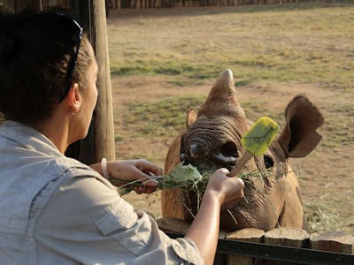 Martin and Julie While: Julie feeding a baby rhino at Care for Wild