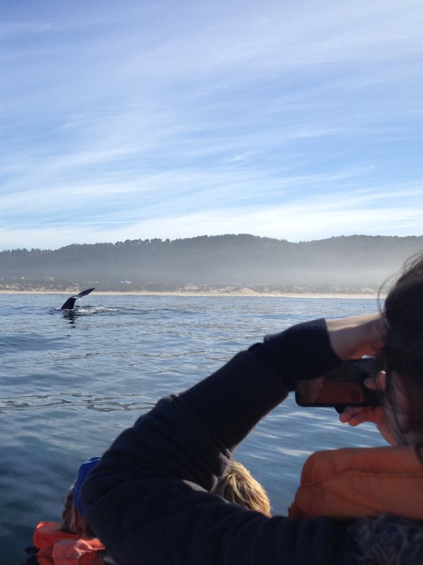 Group of students spotting a whale