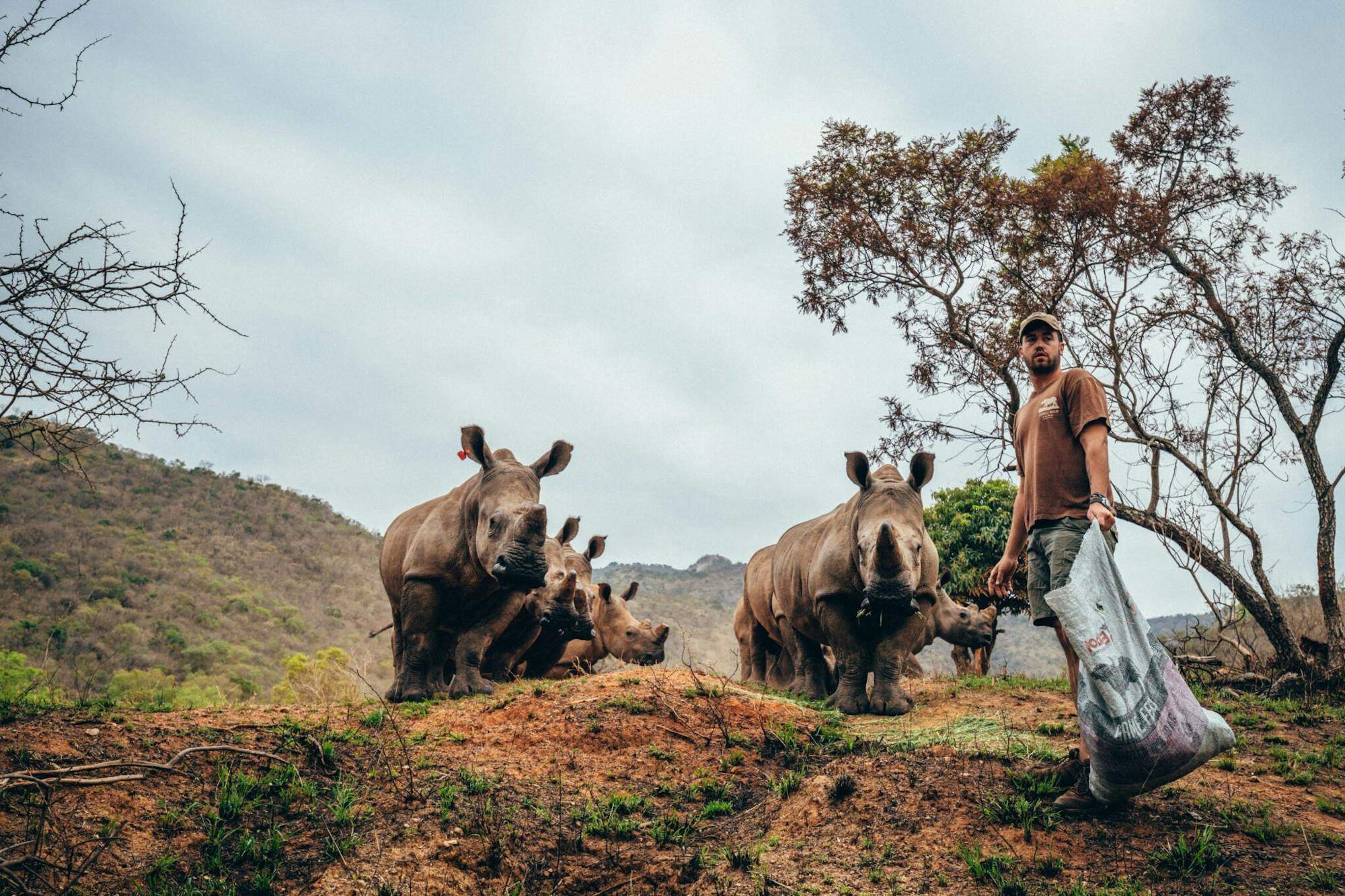 ACE male volunteer with rhinos, Care for Wild