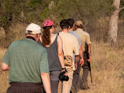 Group of volunteers on a bush walk in the Kruger