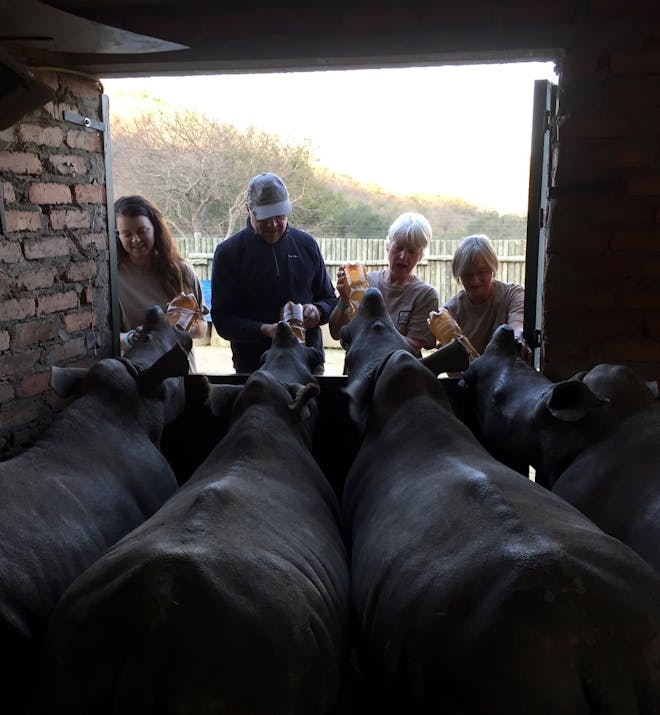 Trevor Hill: bottle feeding rhinos