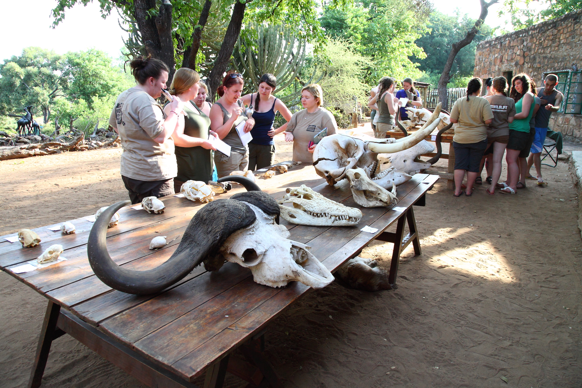 A college group learning about the variety of wildlife in Africa