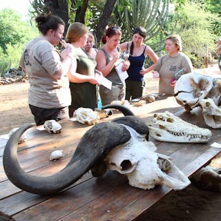 A college group learning about the variety of wildlife in Africa
