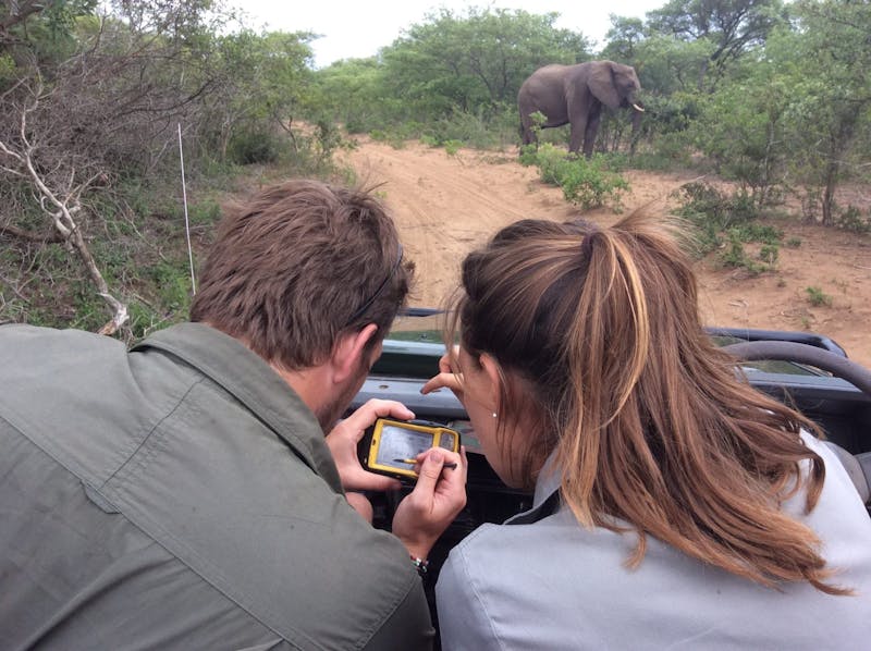 Couple monitoring elephant from a vehicle