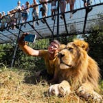 A man lying next to a lion taking a selfie on his mobile phone