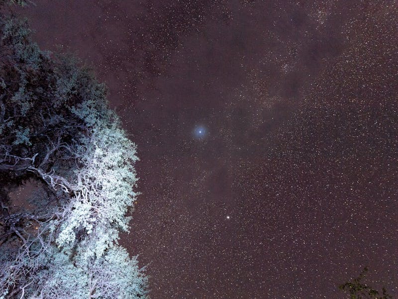 Wayne Grieveson: stars at night in the Okavango