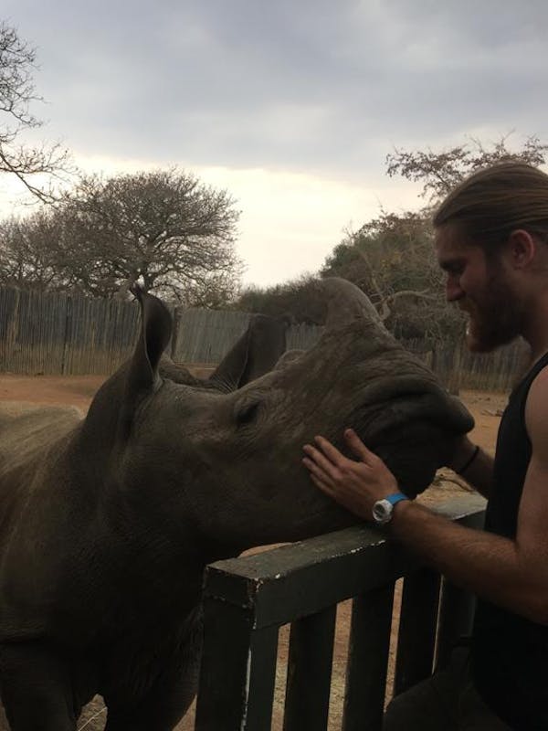 Lucas Zermatten: petting rhino
