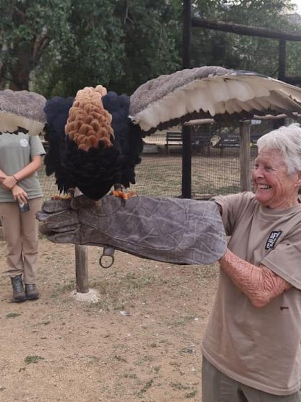 Frances Watson: posing with a bateleur eagle