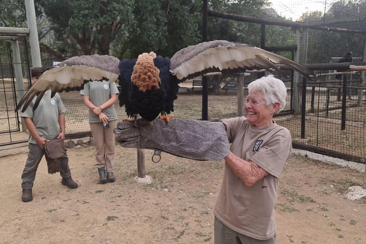 Frances Watson: posing with a bateleur eagle