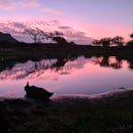 Mira van Duin: sunset landscape