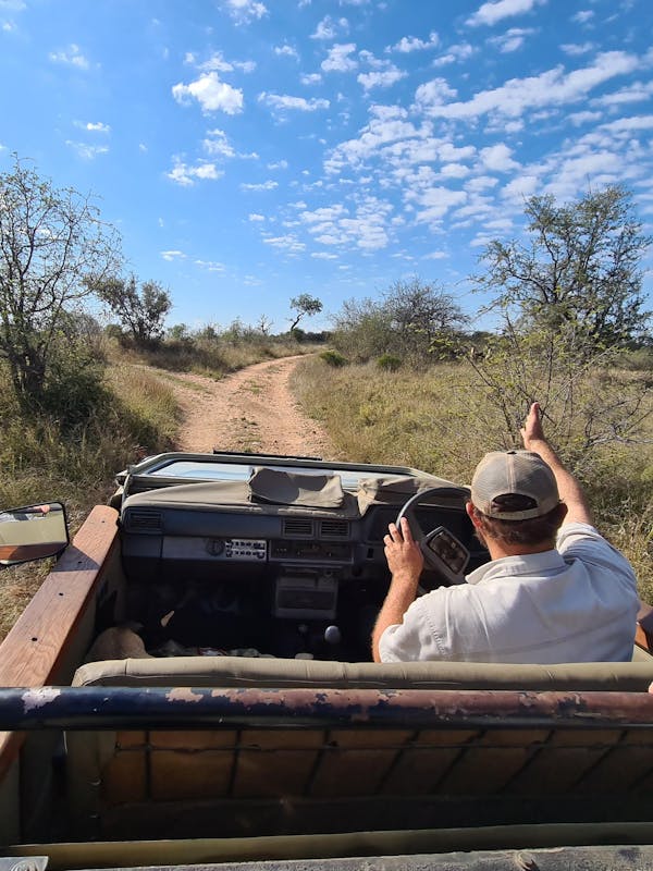 Professional guide in the field, pointing from a vehicle