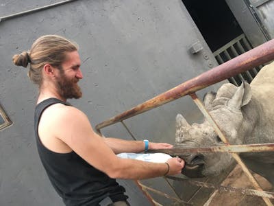 Lucas Zermatten: bottle feeding a rhino