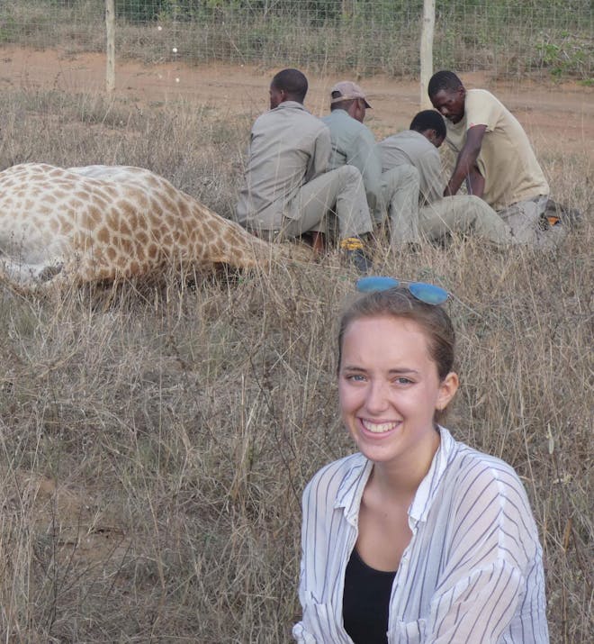 Victoria Neild: posing with a sedated giraffe as part of wildlife relocation