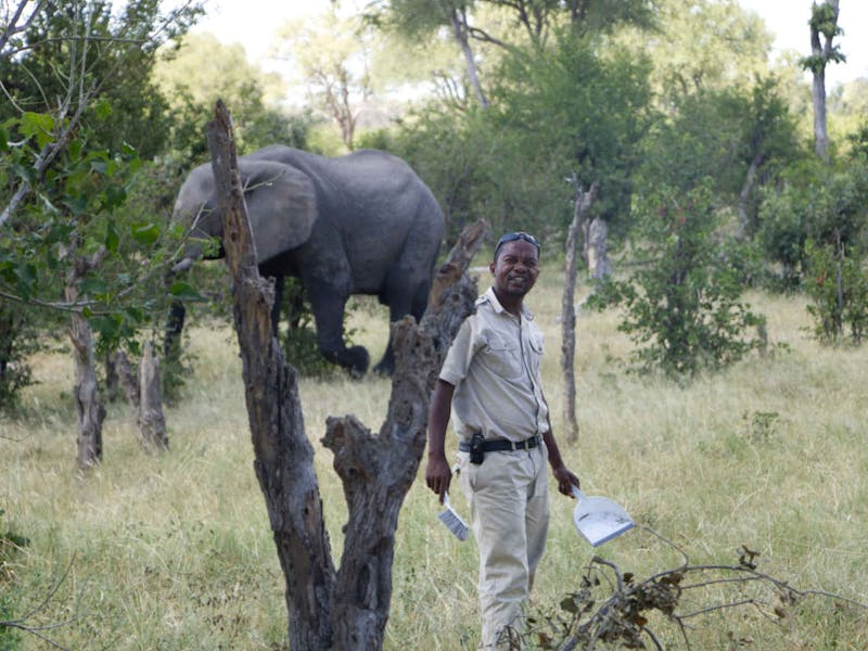 Ramez Ramzy: guide looking at the camera with an elephant in the background