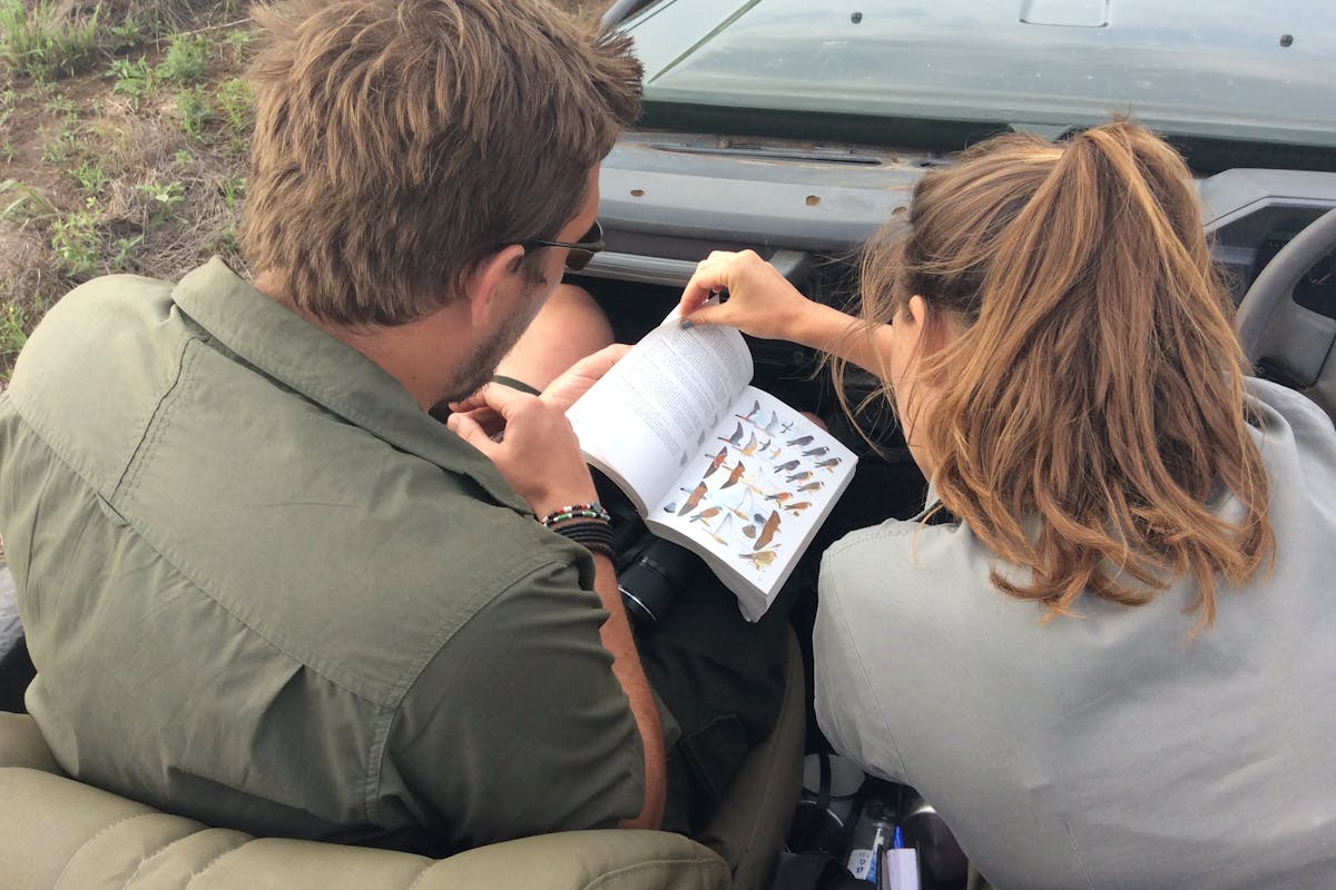 A pair of ACE volunteers sit in a jeep identifying bird species near Phinda