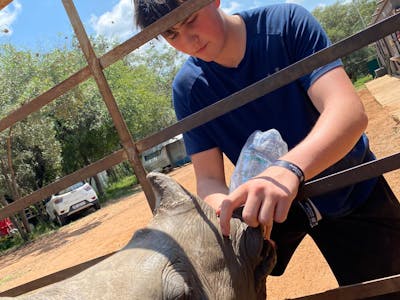 Sam Thain: bottle feeding a rhino