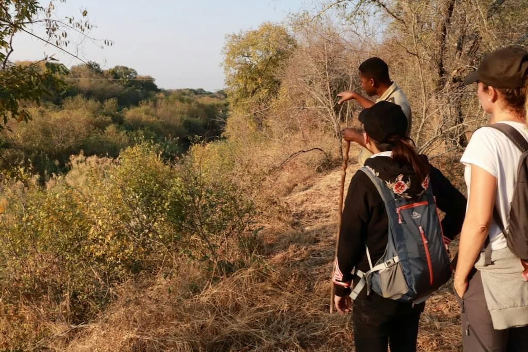 Group walking