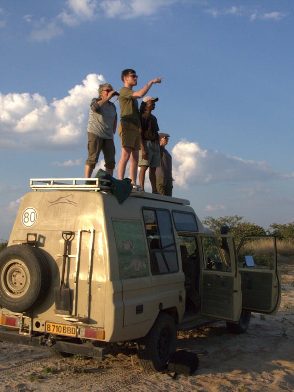 ACE volunteers standing on a vehicle to view animals