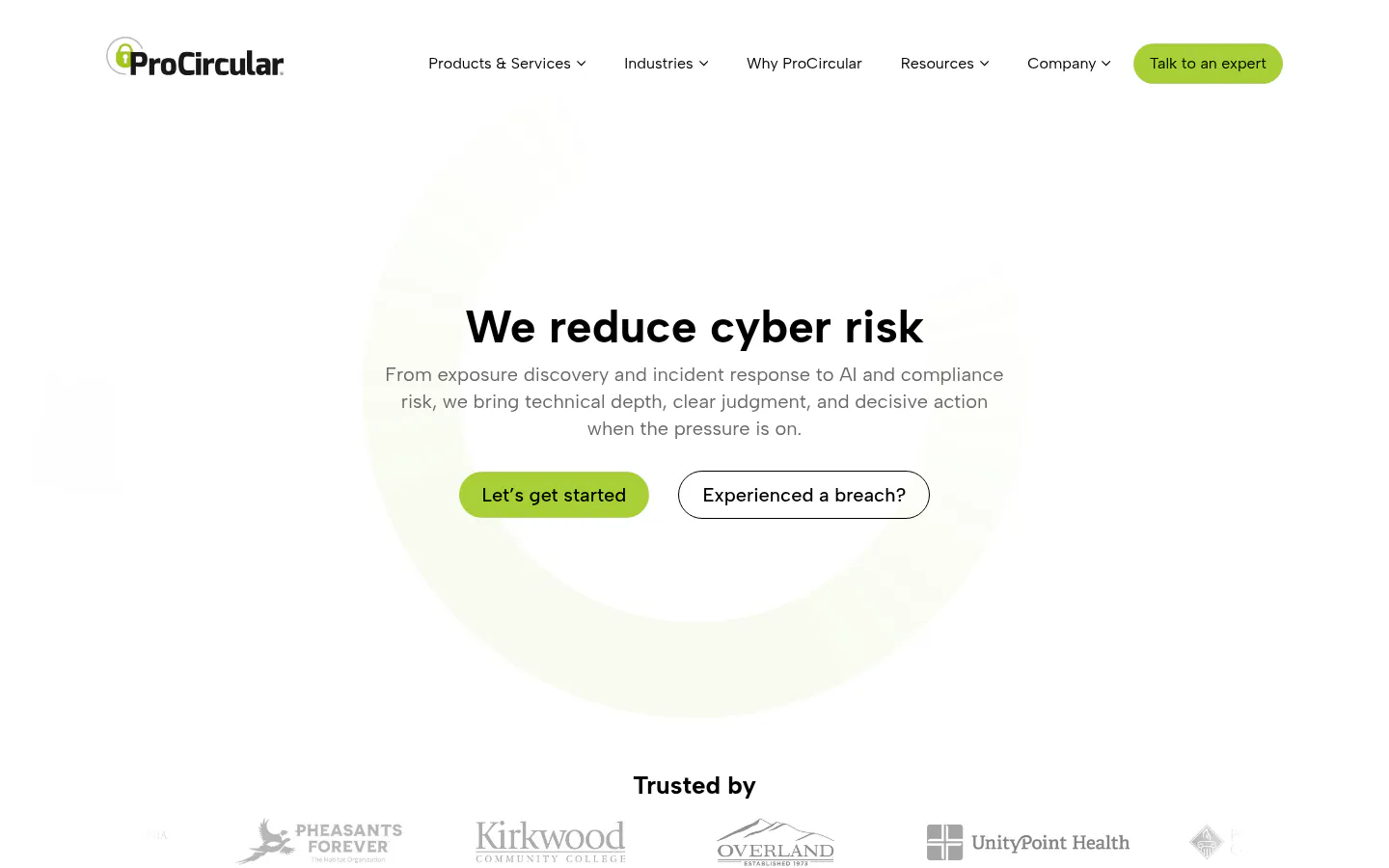 ProCircular homepage, IT compliance consulting firm