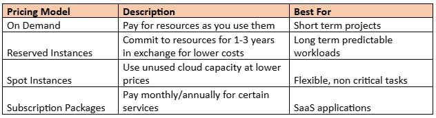 Choose Cost Effective Pricing Models