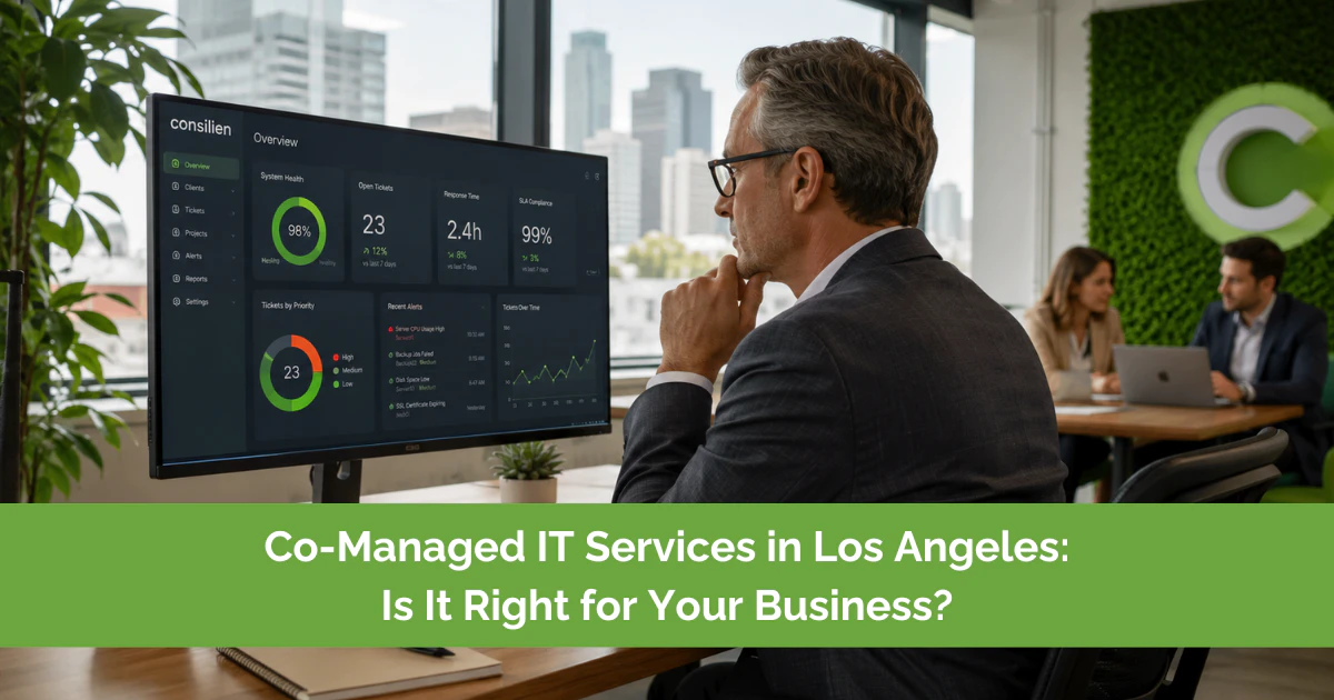 Co-Managed IT Services in Los Angeles Is It Right for Your Business