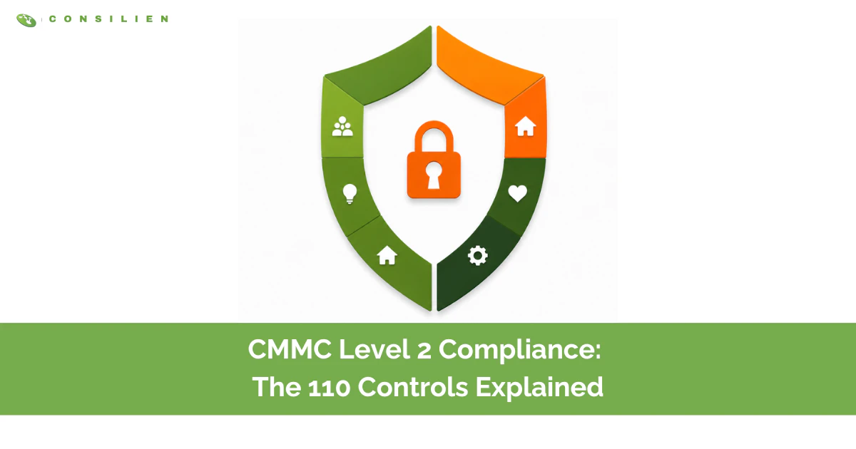 The 110 CMMC Level 2 controls organized across 14 NIST SP 800-171 domains