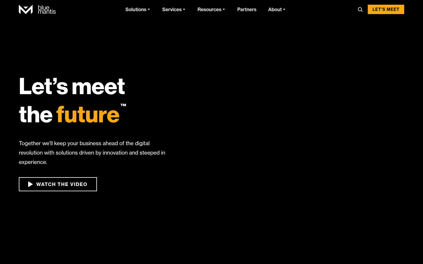 Blue Mantis homepage, security-first IT services provider