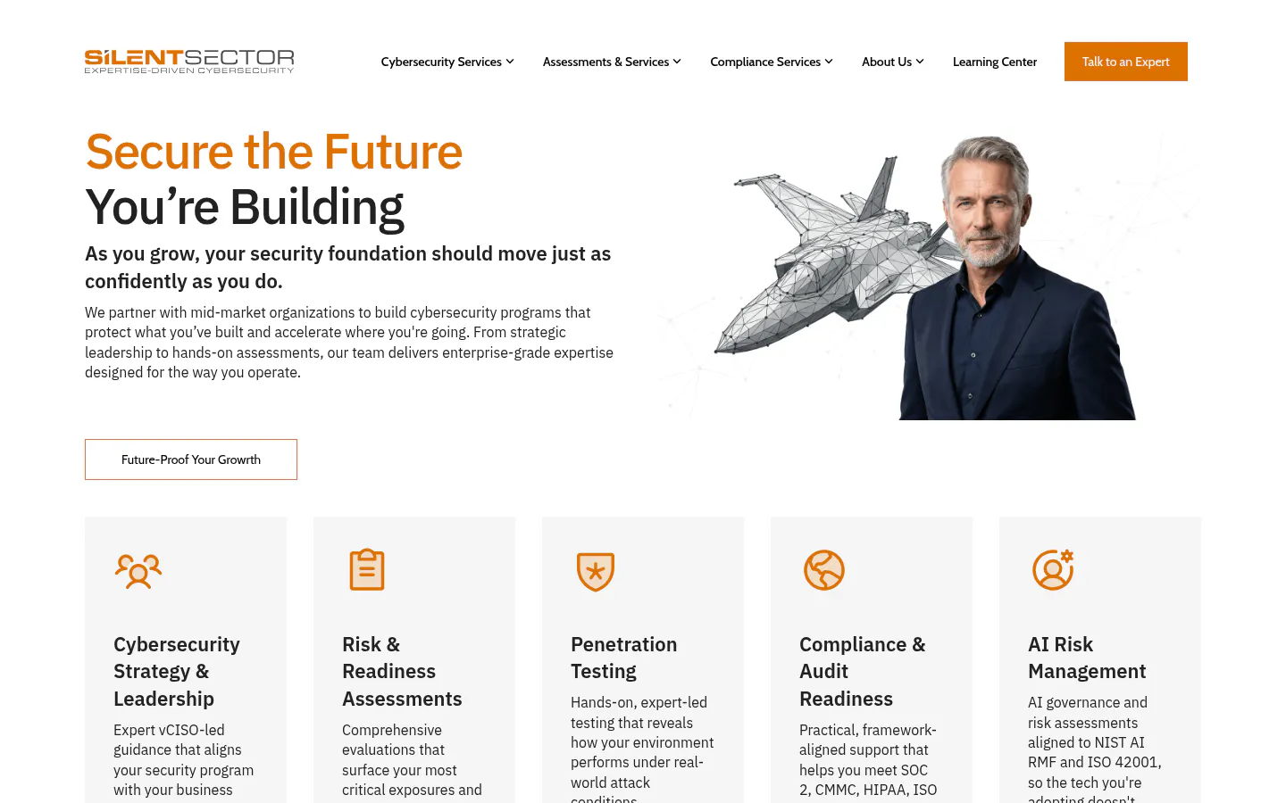 Silent Sector homepage, IT compliance consulting firm