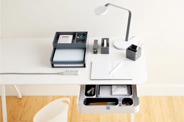 Step 6: Study Area & Cord Control
