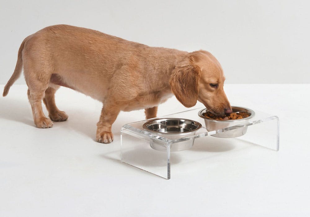 Classic Raised Single Dog Feeder High Stand + Bowl High stand Feeder Larger  Dogs