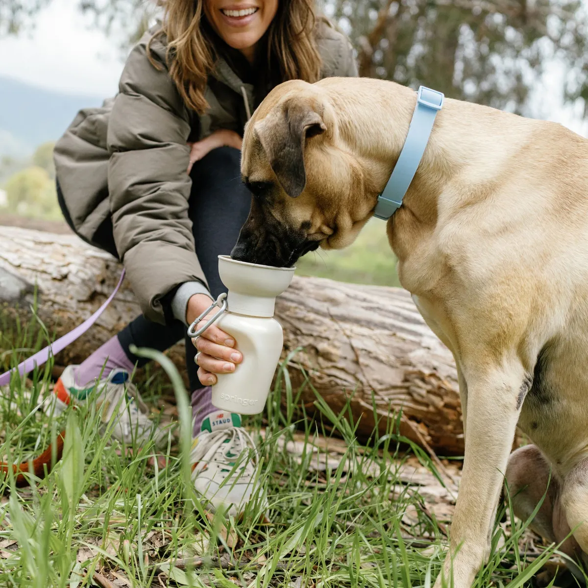 dog travel water bottle