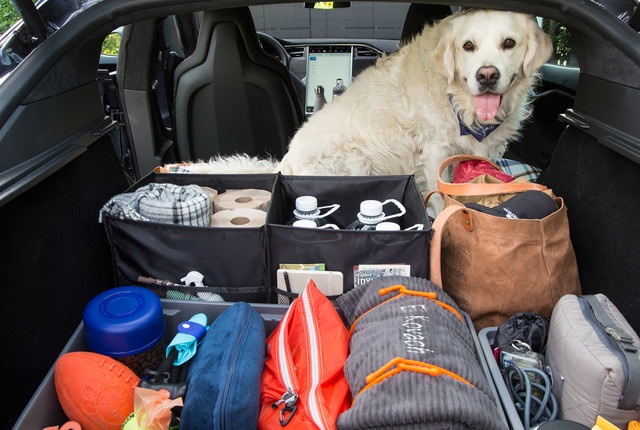 car organizer for road trip