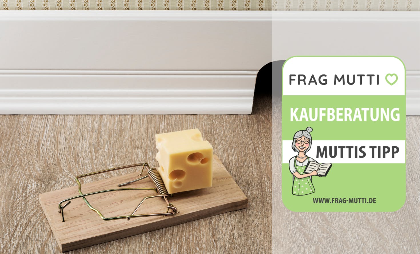 Mausefalle Kaufberatung