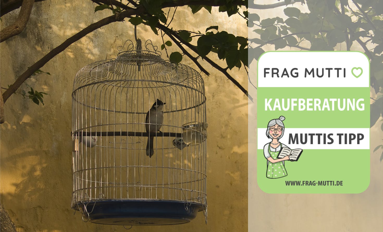 Vogelkäfig Kaufberatung