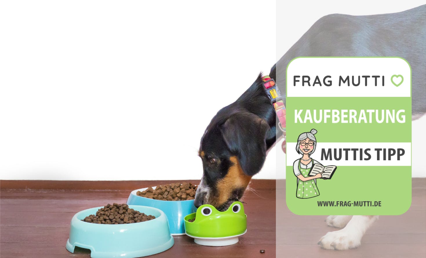 Hundefutter Kaufempfehlung