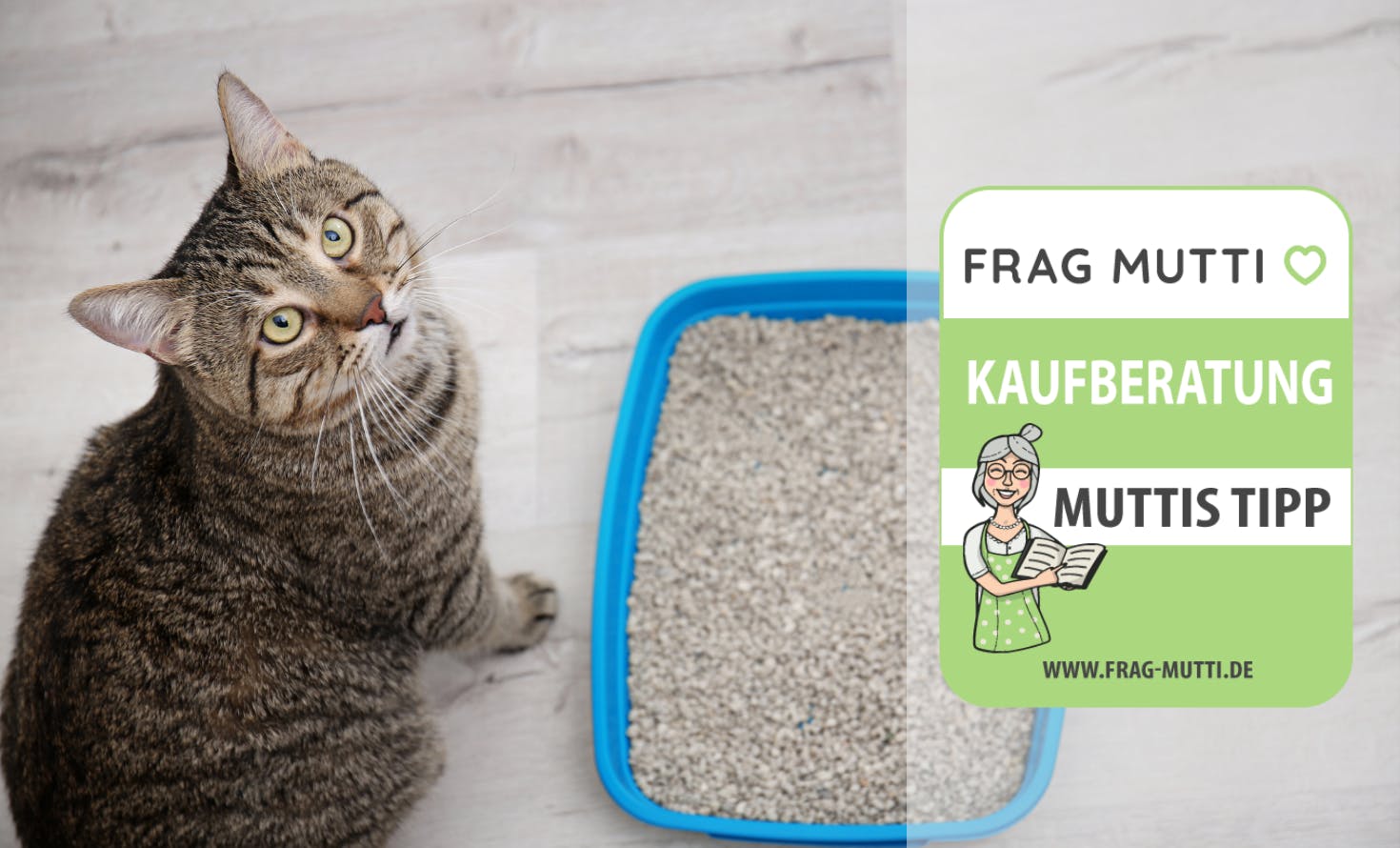 Katzenstreu Kaufberatung