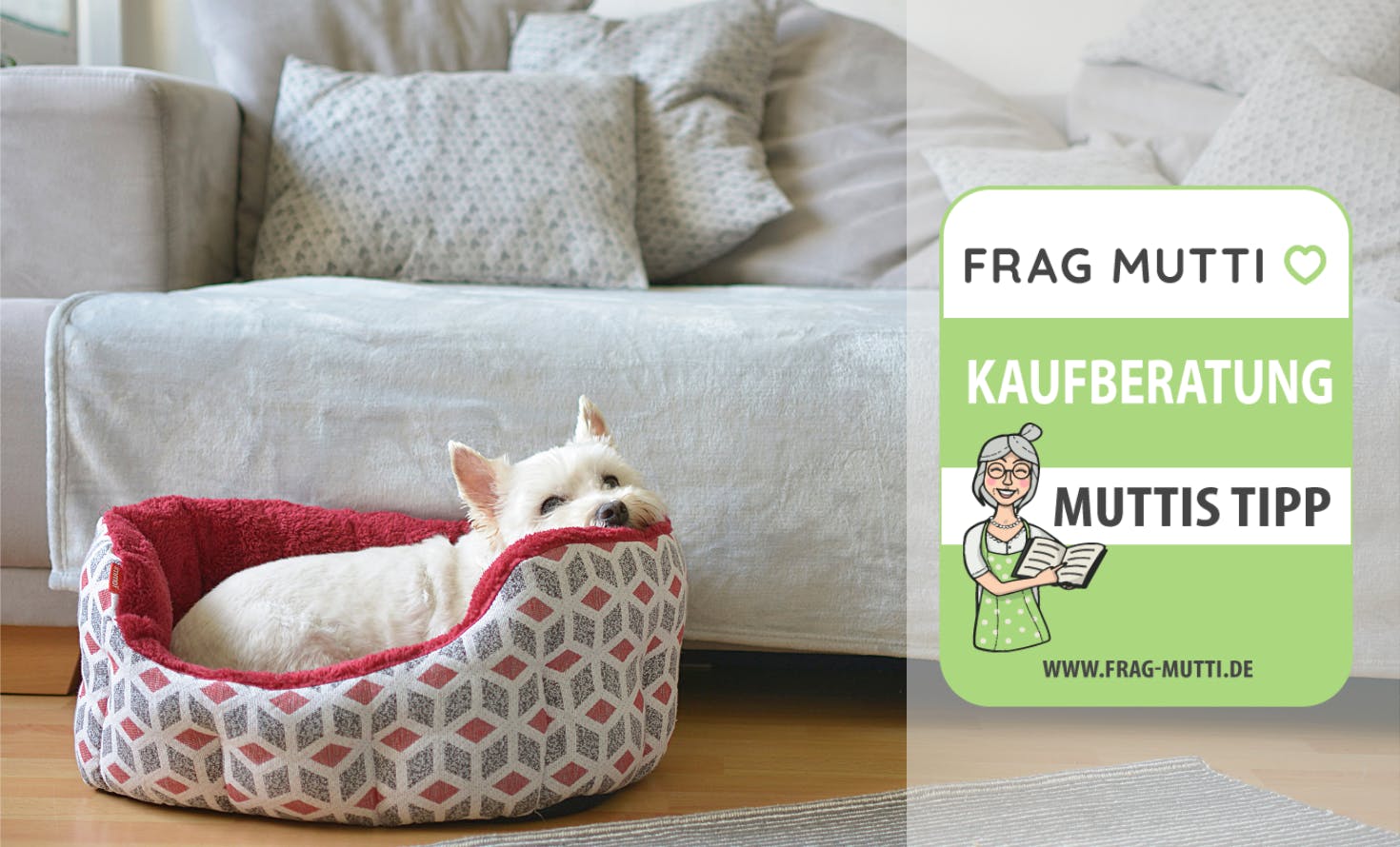 Hundebett Kaufempfehlung