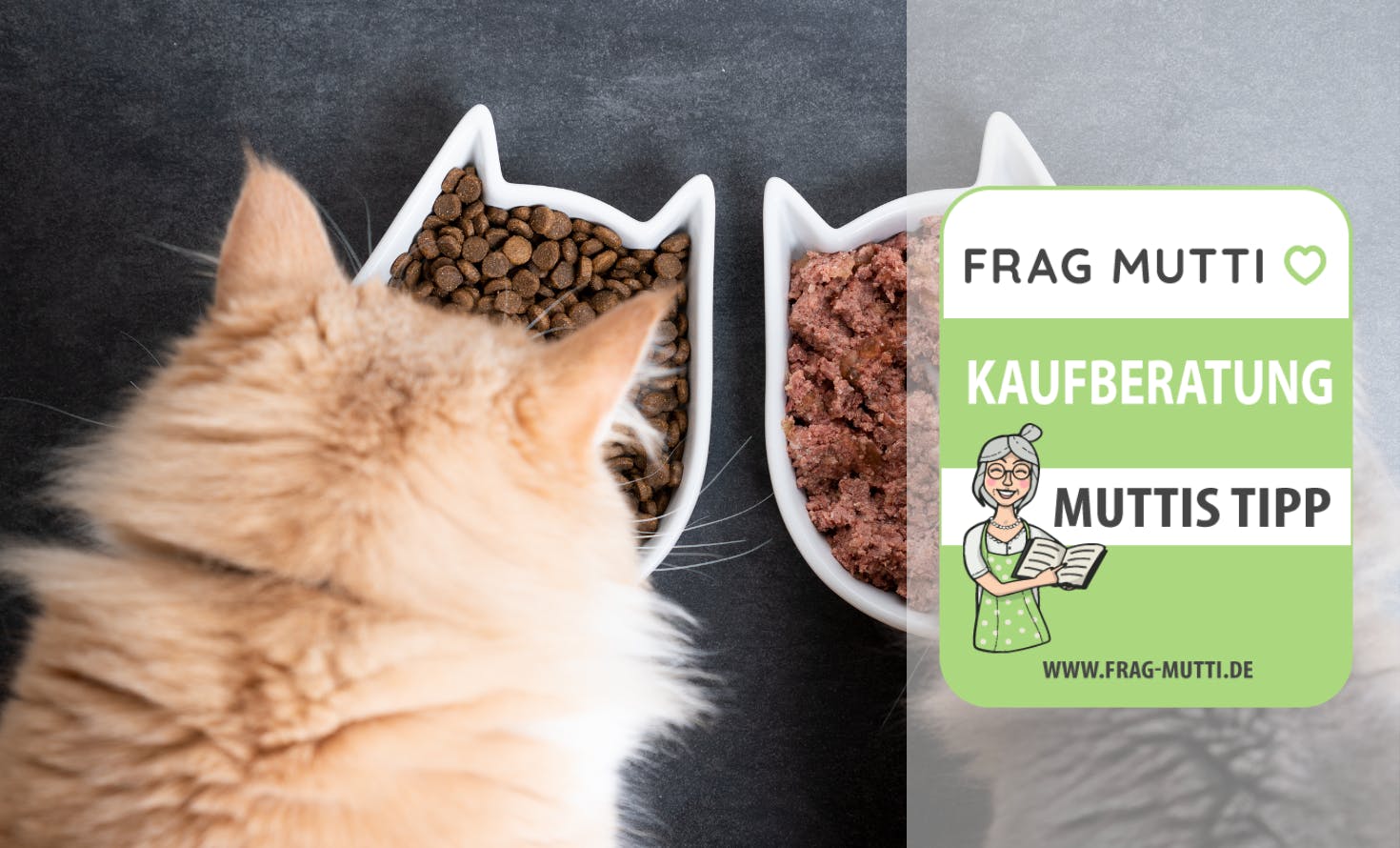 Katzenfutter im Vergleich