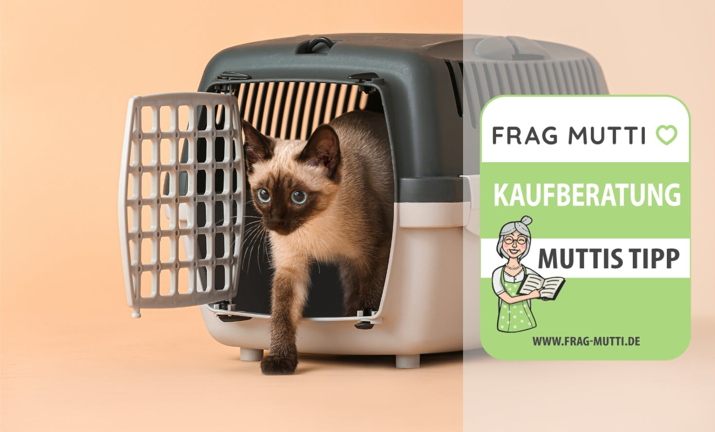 Katzentransportbox Kaufberatung